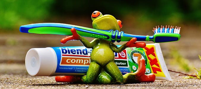 red-eyed frog holding toothbrush near toothpaste thumbnail