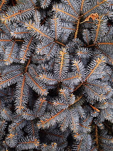 white and orange decor in closeup photography thumbnail