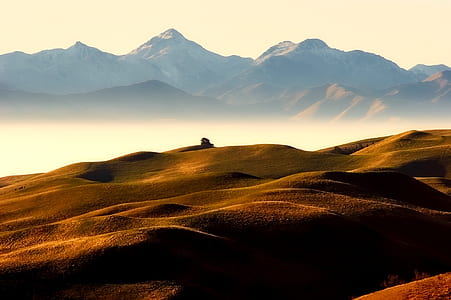 photo of desert thumbnail