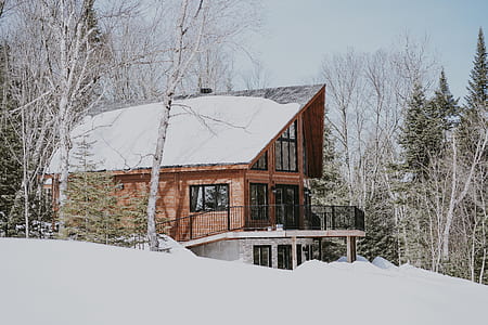 brown wooden and black 3-story house surrounded by birch tree thumbnail