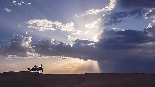 silhouette image of two person riding camel on desert thumbnail