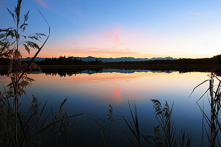 photography of body of water near tree thumbnail