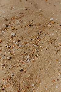 Sand beach background with sea shells & pebbles - many round small stones thumbnail
