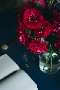 Lovely workplace with red roses thumbnail