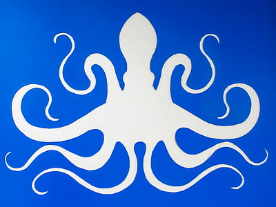 white and blue octopus artwork thumbnail