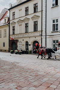 The magic of the first Polish Capital City, Cracow, Poland thumbnail