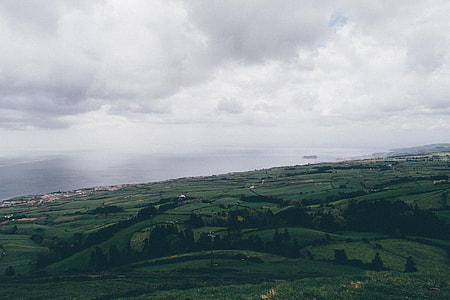 aerial view of green plains with trees during daytime thumbnail