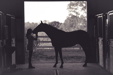 woman kissing horse on the nose thumbnail