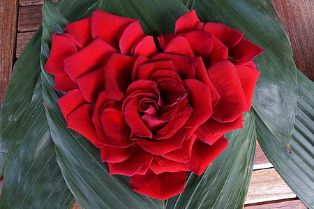 red roses centerpiece close up photo thumbnail
