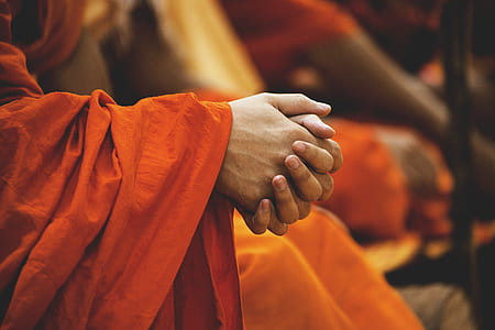selective focus photography of person holding hand thumbnail