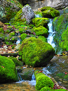 close-up photography of river thumbnail