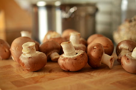 brown mushroom lot thumbnail