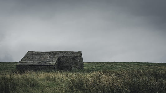 brown house in green grass field thumbnail