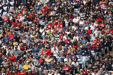 crowd, sports fans, spectators, stadium, people, sporting event thumbnail
