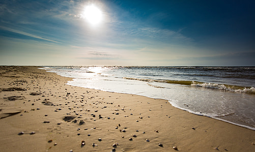 seashore under sunny sky thumbnail