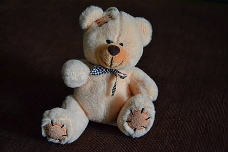 beige teddy bear thumbnail