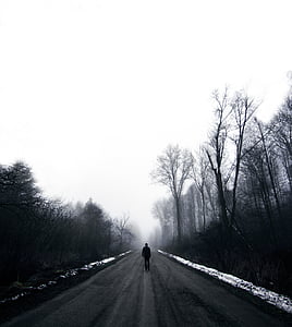 person walking in the middle of the street surrounded with trees thumbnail