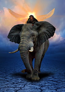 monkey riding elephant painting thumbnail