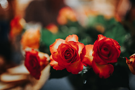 Flowers arranged in a beautiful bouquet thumbnail