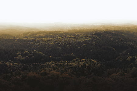 Autumn landscape with fog in the mountains. thumbnail