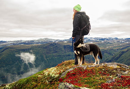 man and husky standing at top of mountain during daytime thumbnail