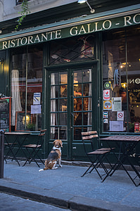 Ristorante Gallo establishment thumbnail