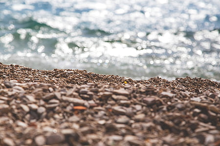 selective focus photography of seashore thumbnail