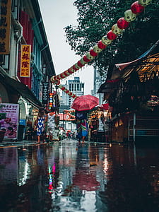 person holding umbrella near two people walking during daytime thumbnail
