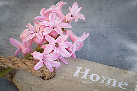 bundle of pink petaled flowers on brown rope thumbnail