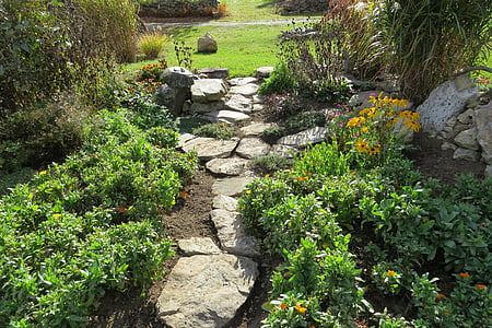 grey concrete pathway beside plants and grasses thumbnail