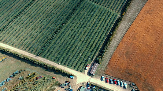 aerial photography of green and brown field thumbnail