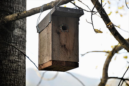 close-up photo of hanged brown wooden birdhouse thumbnail