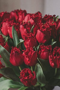 Artificial Red Tulips thumbnail