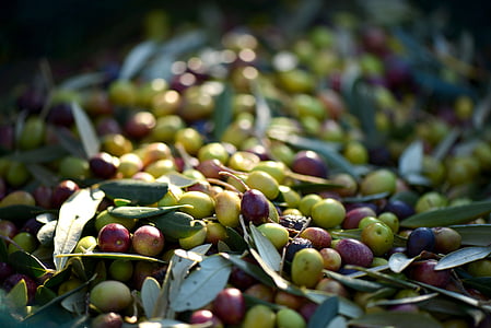 grape lot thumbnail