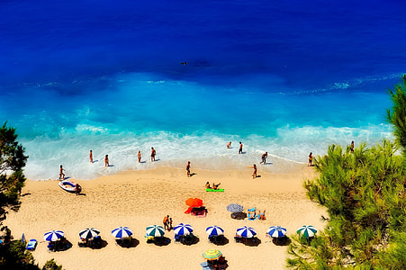 people swimming on ocean with green trees during daytime thumbnail