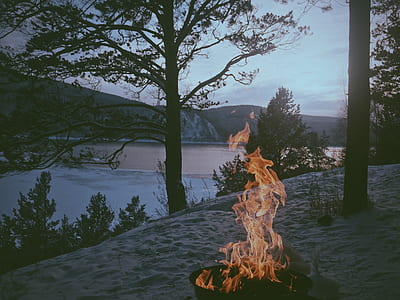 bonfire near lake photo thumbnail