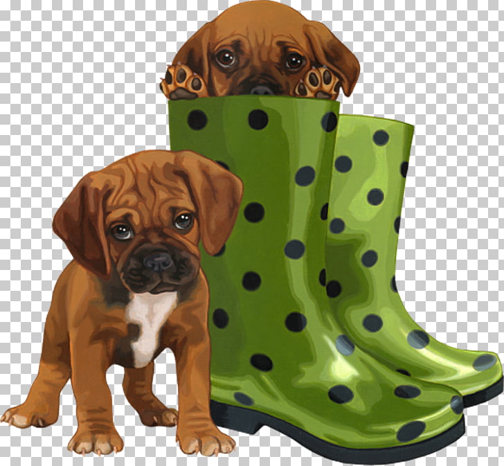 Puggle Puppy Boxer Yorkshire Terrier Dog Breed Puppy Png Clipart