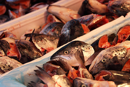 slices of fish on white plastic container thumbnail