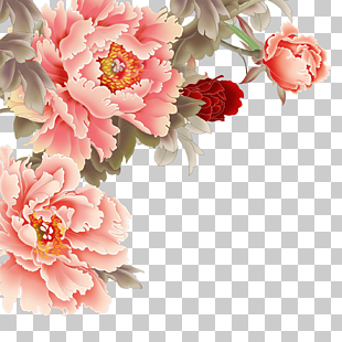 Moutan peony Pink flowers, peony, pink and gray floral illustration PNG clipart