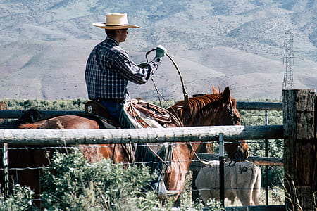 Photography of a Person Riding Horse thumbnail