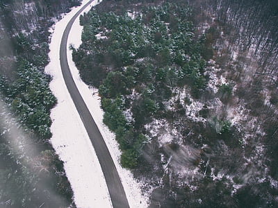 bird's-eye view of road beside tall trees thumbnail