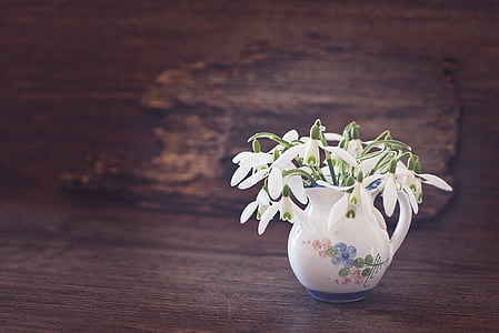 white petaled flowers in white ceramic vase on brown surface thumbnail