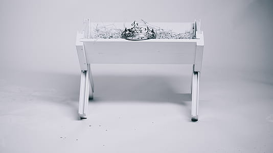 white plant bot thumbnail