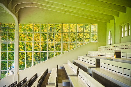 beige chair near wall and yellow tall trees at dayttime thumbnail