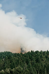 roaming helicopter on top of green forest thumbnail