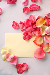 yellow printing paper surround pink flower petals thumbnail
