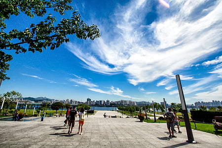 group of people walking on park thumbnail