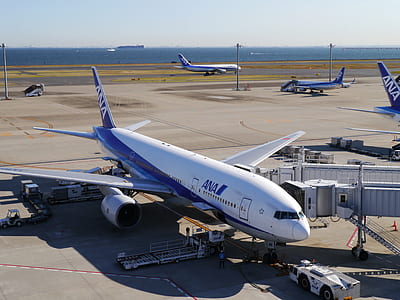 white and blue Ana airplane thumbnail