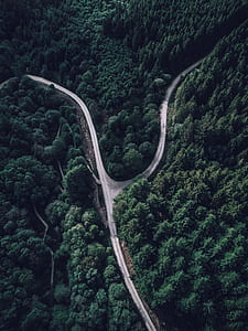 aerial view photography of mountain pass during daytime thumbnail