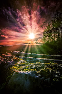 landscape photography of green grass field and trees during golden hour thumbnail